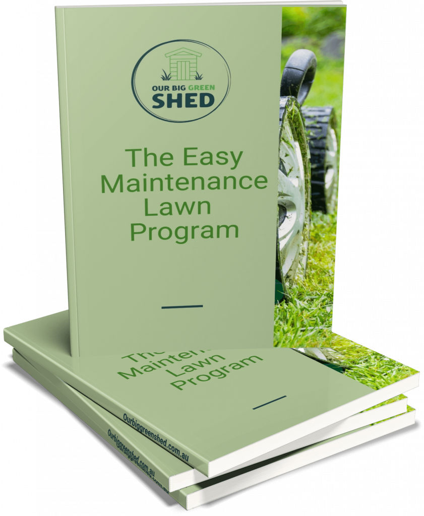 Easy-maintenance-for-your-lawn